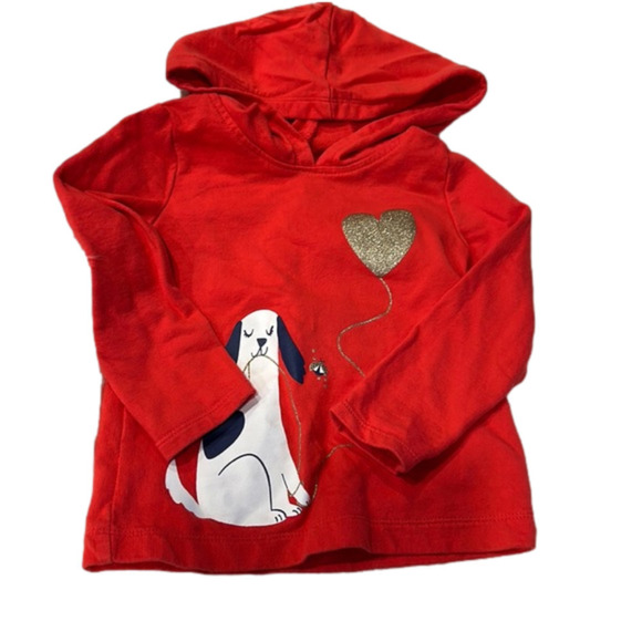 Carter's Other - Carters 24 m girl hoodie good condition